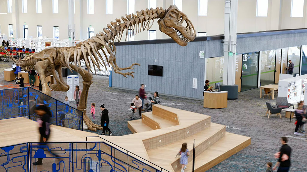A dinosaur skeleton in a museum.